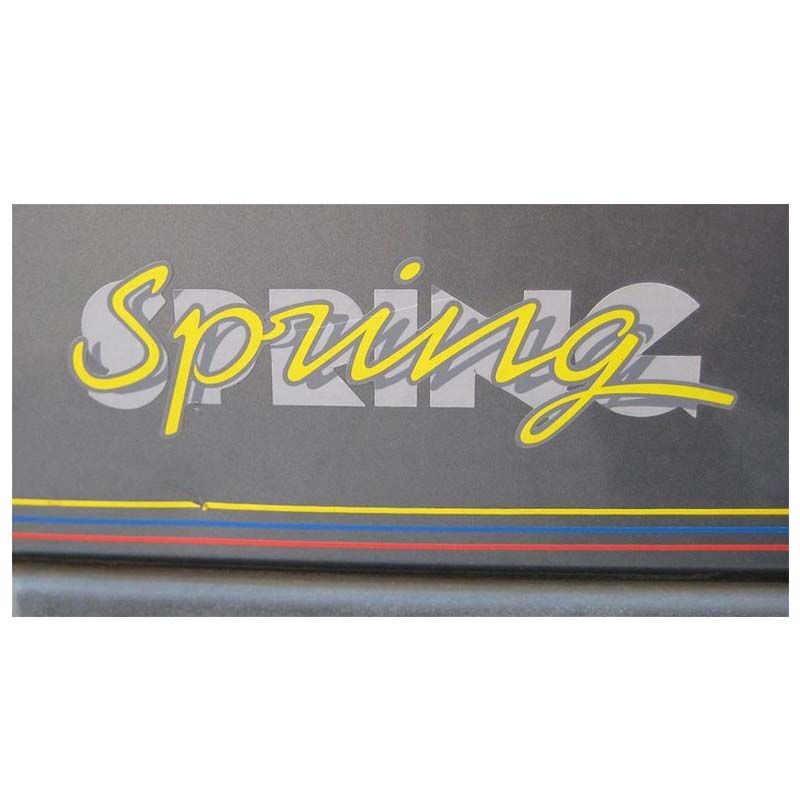 Renault Spring Yapıştırma Yazı SUS0027